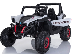 Mini Moto UTV 12v 4x4