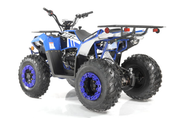 Commander 200cc EFI - Image 24