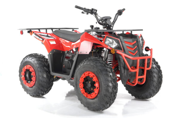 Commander 200cc EFI - Image 19