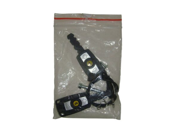Rastar Ferrari F12 12v Hardware Kit - Image 2